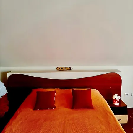 Guest house Vila Miluna Mamaia