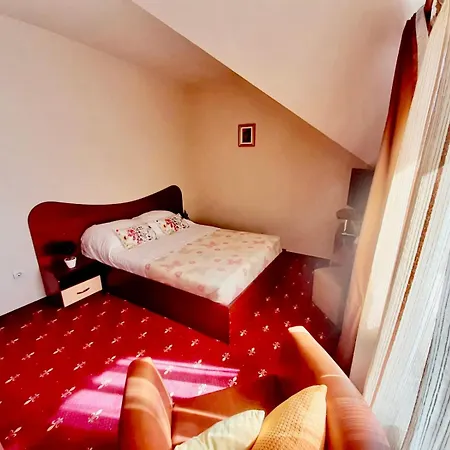 Guest house Vila Miluna 3*