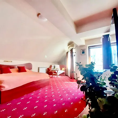 Vila Miluna Guest house Mamaia