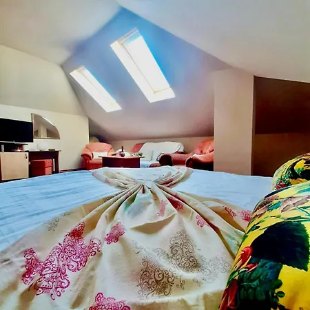 Guest house Vila Miluna Mamaia