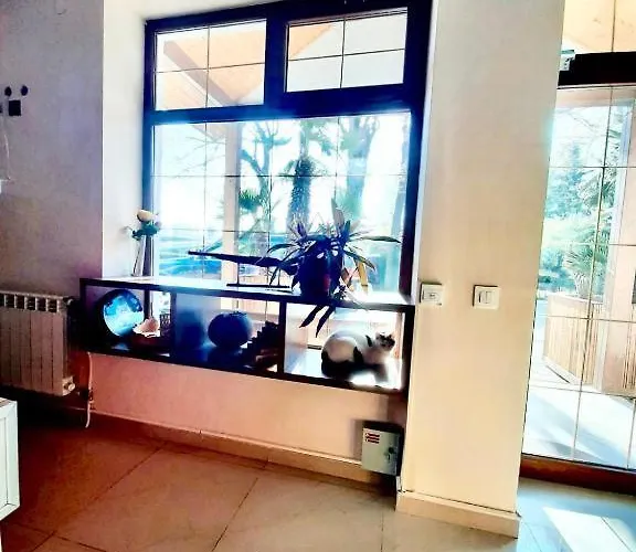 Vila Miluna Guest house